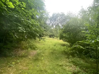 Drum acces teren vanzare Breaza de Sus Prahova padure
